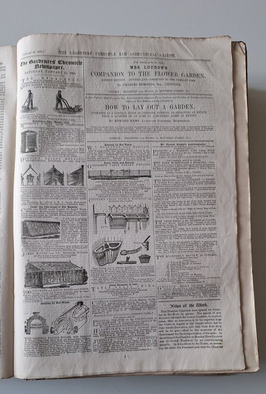 THE GARDENERS' CHRONICLE AND AGRICULTURAL GAZETTE FOR 1865 LONDON PUB. …