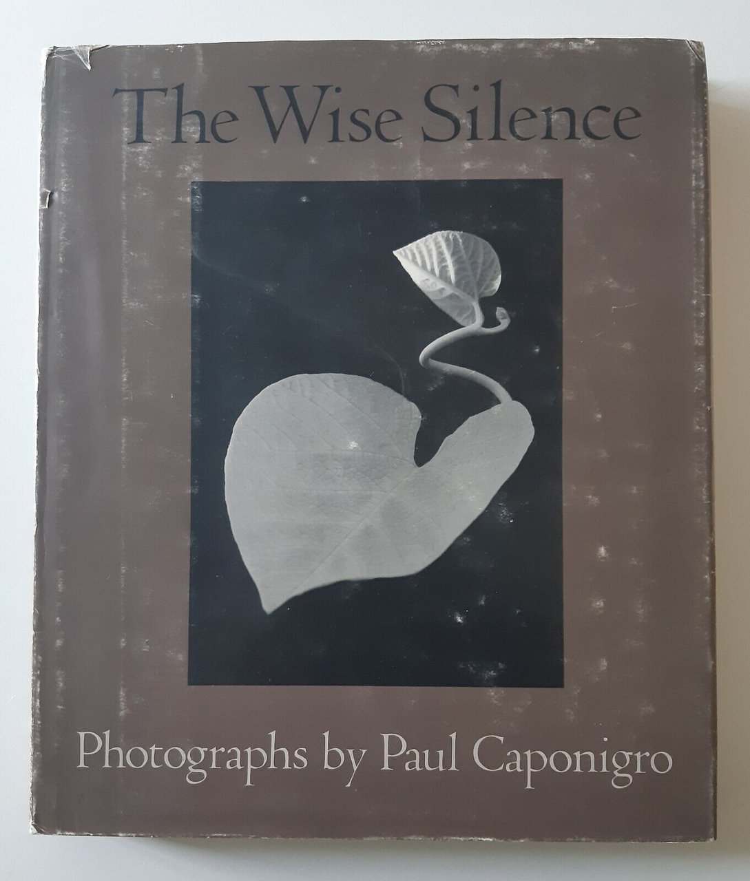 THE WISE SILENCE PAUL CAPONIGRO NEW YORK GRAPHIC SOCIETY BOOKS …