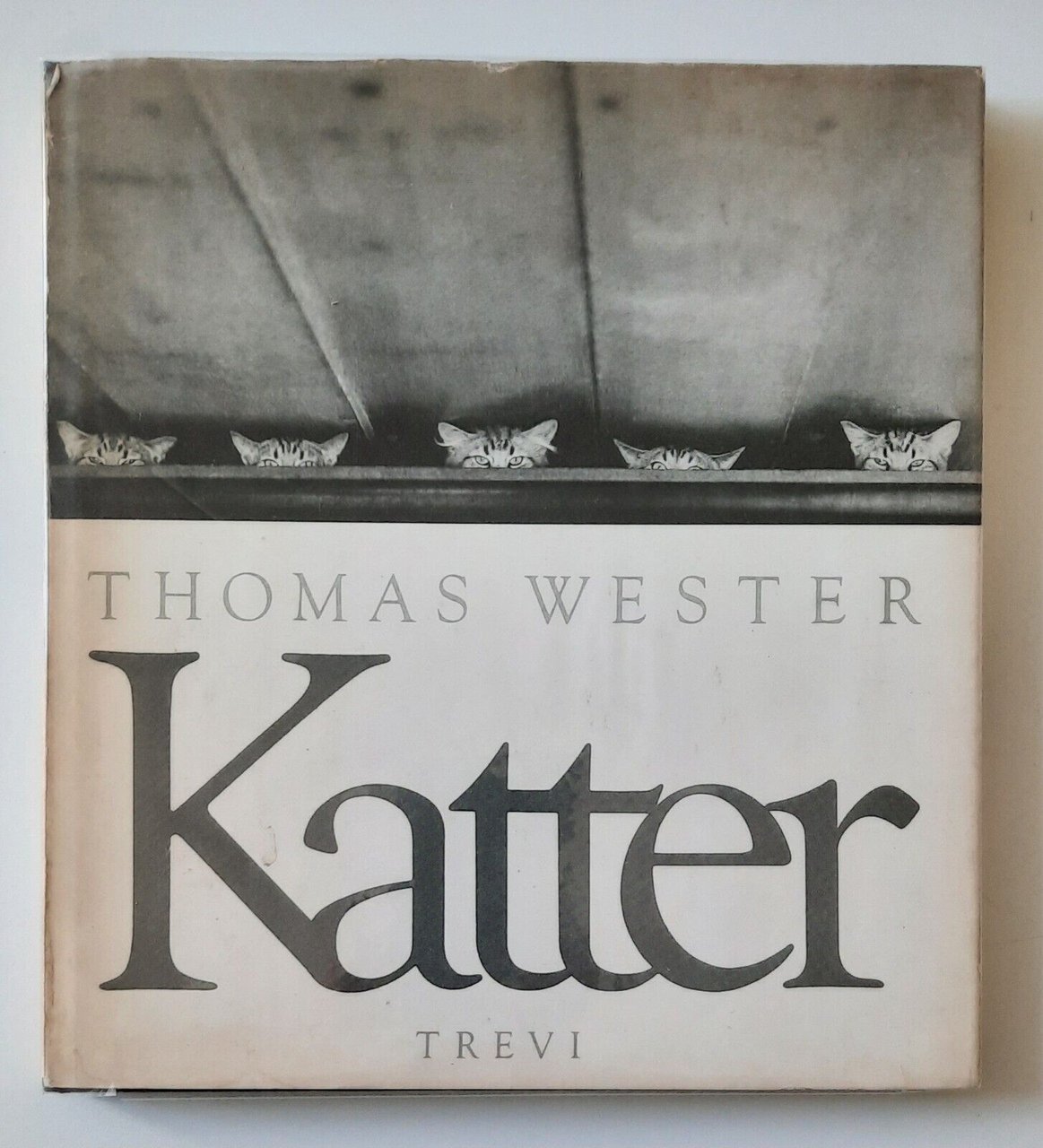 THOMAS WESTER KATTER TREVI 1985