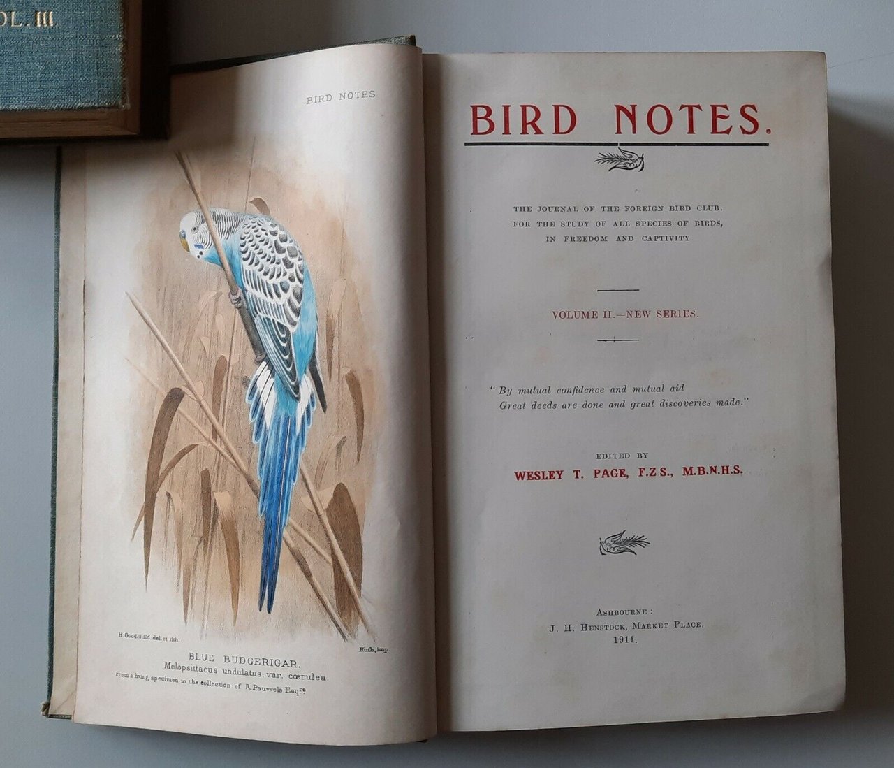 WESLEY T. PAGE BIRD NOTES VOL. 2 J.H. HENSTOCK 1911