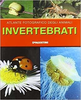 Invertebrati - AA.VV. - De Agostini