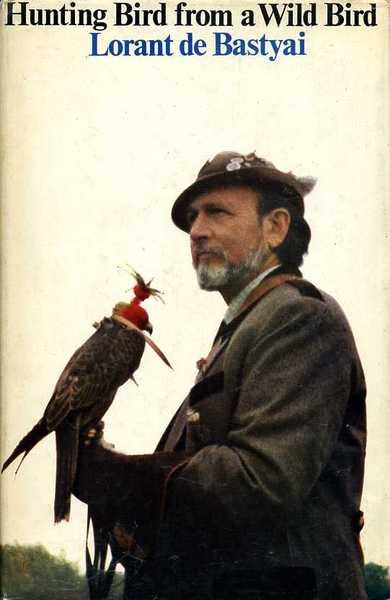 Hunting Bird from a Wild Bird