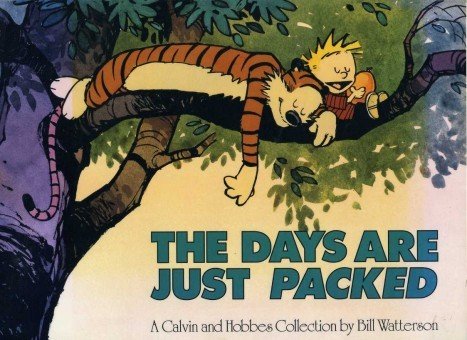 The Days Are Just Packed (Calvin and Hobbes)