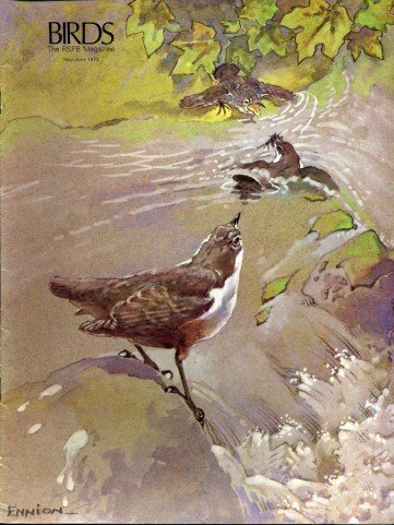 Birds : RSPB Magazine May - Jun 1973 : Volume …