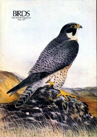 Birds : RSPB Magazine Winter 1977 : Volume 6 Number …