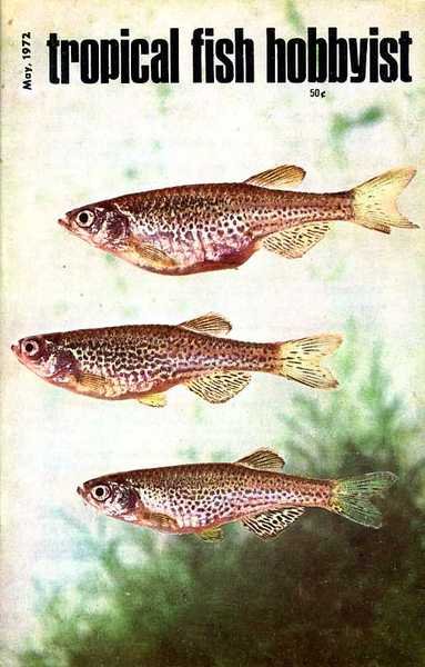 Tropical Fish Hobbyist - May 1972