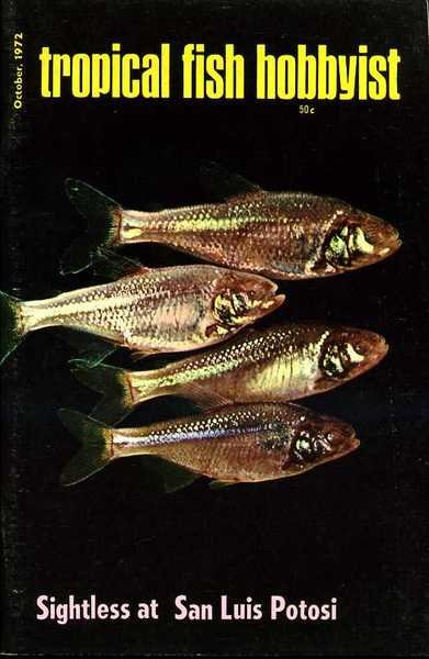 Tropical Fish Hobbyist - October 1972