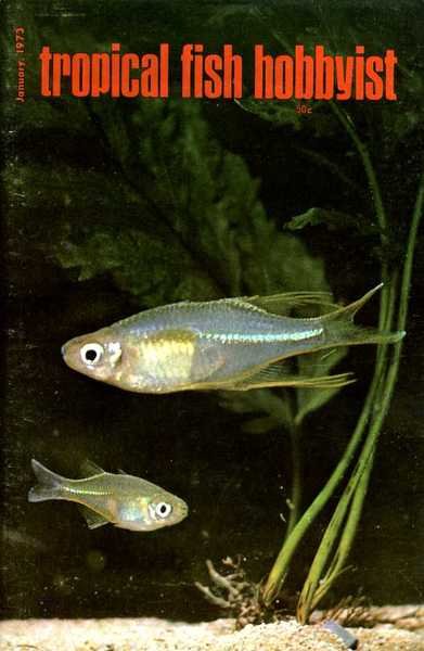 Tropical Fish Hobbyist - January 1973