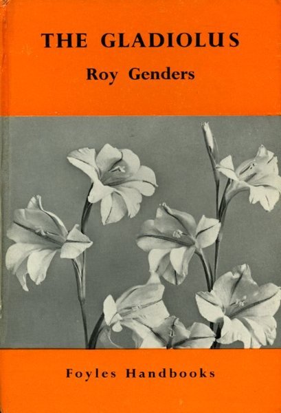 The Gladiolus