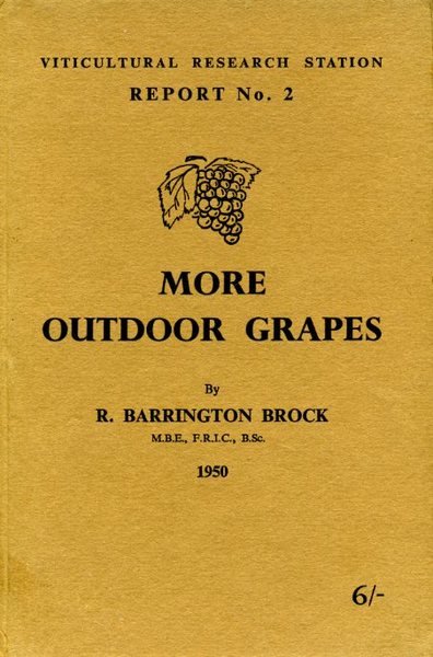 More Outdoor Grapes