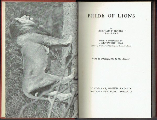 Pride of Lions ; with 68 photographs by the Author