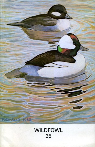 Wildfowl 35
