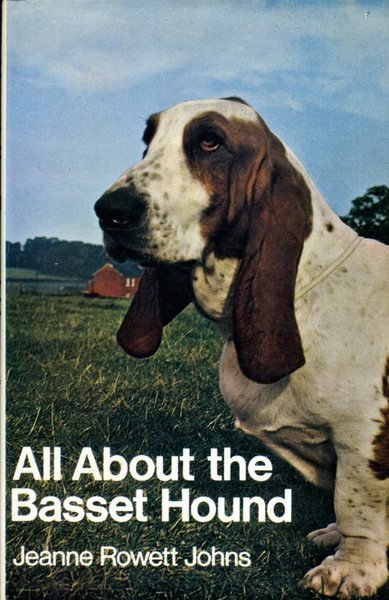 All About the Basset Hound