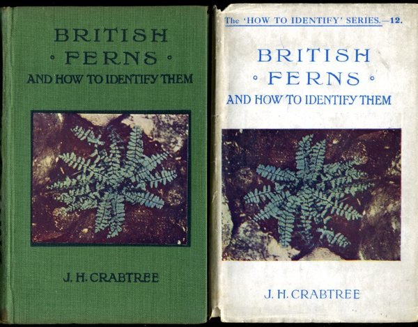 British Ferns : And How to Identify Them
