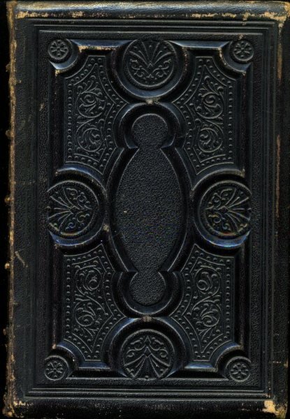 The Pilgrim Fathers; or, Founders of New England in the …