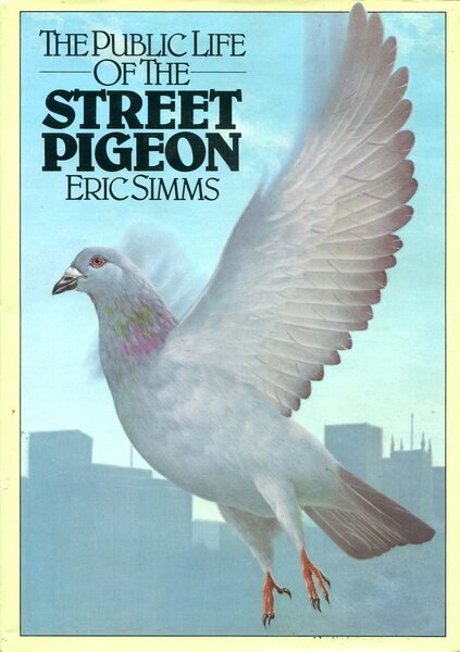 The Public Life of the Street Pigeon