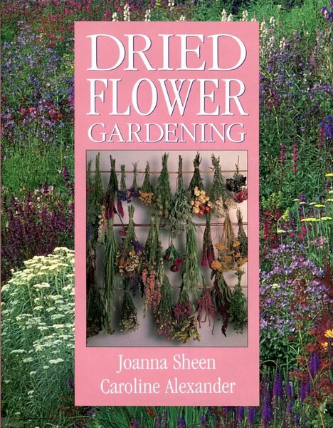 Dried Flower Gardening