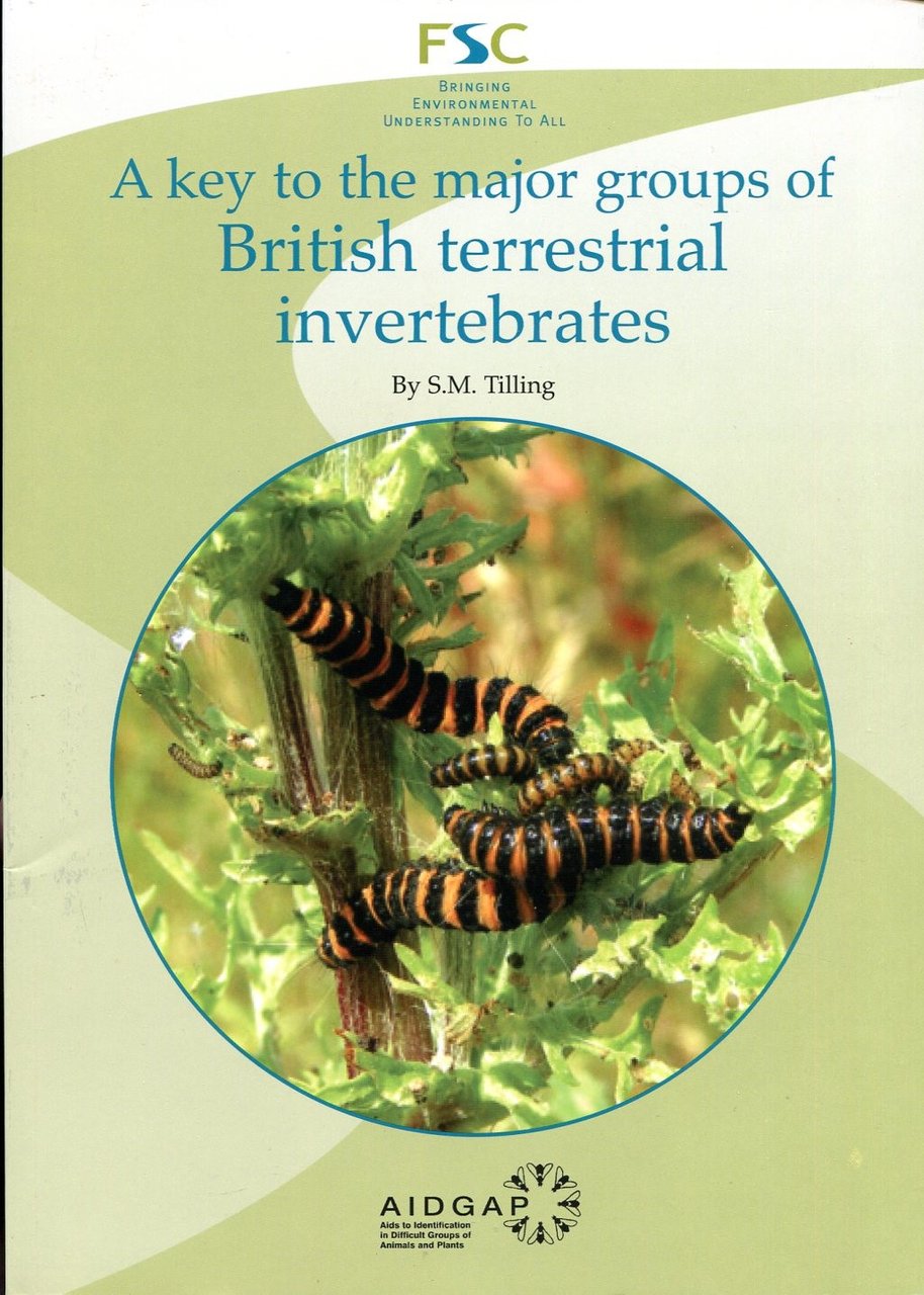 A Key to the Major Groups of British Terrestrial Invertebrates. | Immagine principale