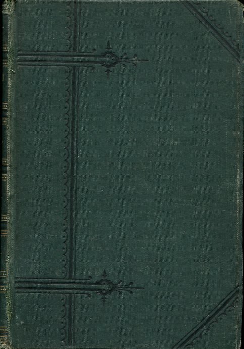 A Mountain Daisy | Immagine principale