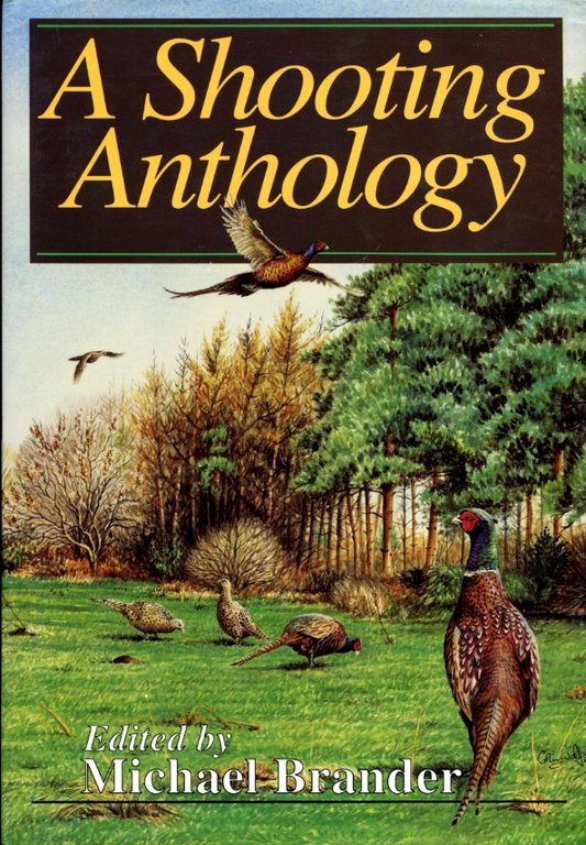 A Shooting Anthology | Immagine Gallery 2