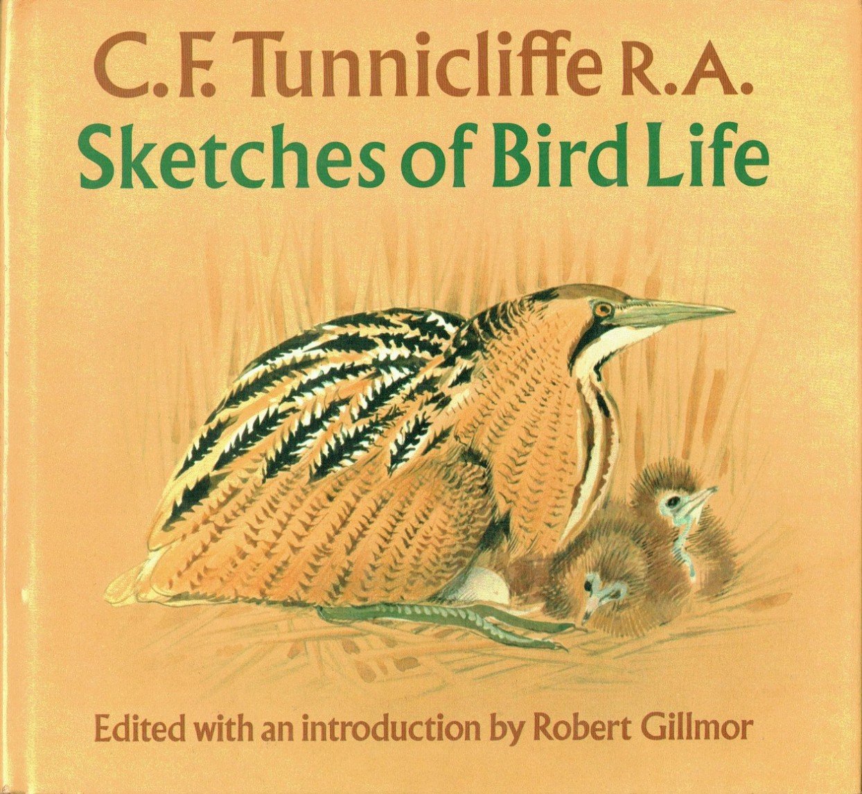 A Sketchbook of Birds | Immagine principale