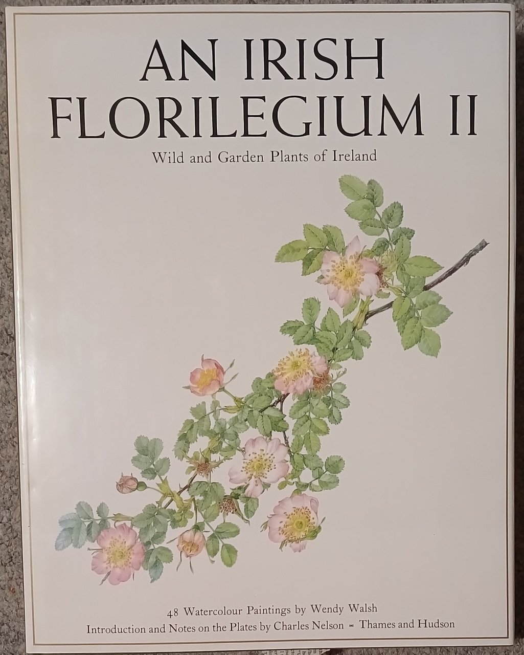 An Irish Florilegium II : Wild and Garden Plants of … | Immagine principale