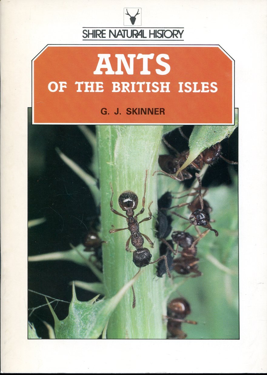 Ants of the British Isles | Immagine principale