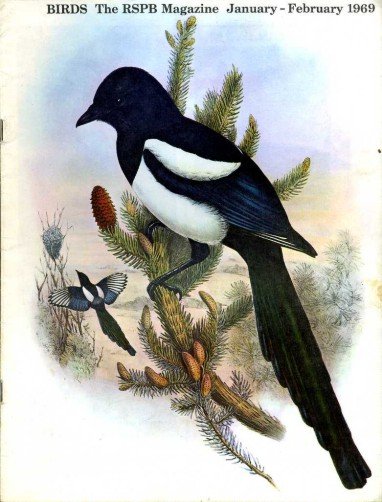 Birds : RSPB Magazine Jan - Feb 1969 : Volume … | Immagine principale