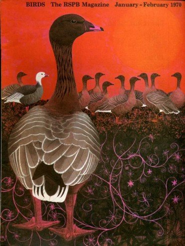 Birds : RSPB Magazine Jan - Feb 1970 : Volume … | Immagine principale