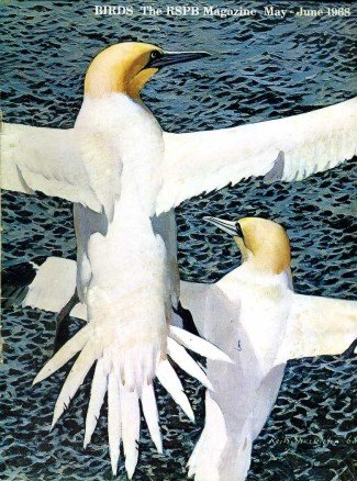 Birds : RSPB Magazine May - Jun 1968 : Volume … | Immagine principale