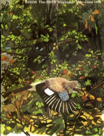 Birds : RSPB Magazine May - Jun 1970 : Volume … | Immagine principale