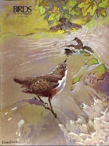 Birds : RSPB Magazine May - Jun 1973 : Volume … | Immagine Gallery 2