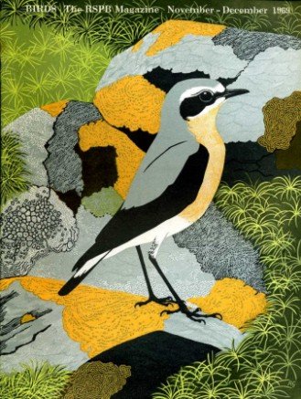 Birds : RSPB Magazine Nov - Dec 1969 : Volume … | Immagine principale