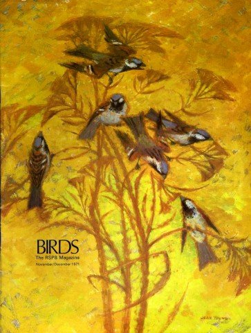 Birds : RSPB Magazine Nov - Dec 1971 : Volume … | Immagine Gallery 2