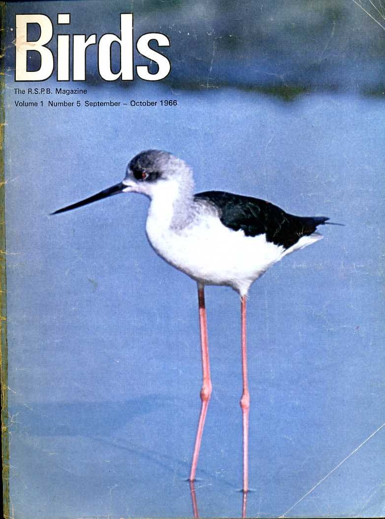 Birds : RSPB Magazine Sept-Oct 1966 : Volume I Number … | Immagine principale
