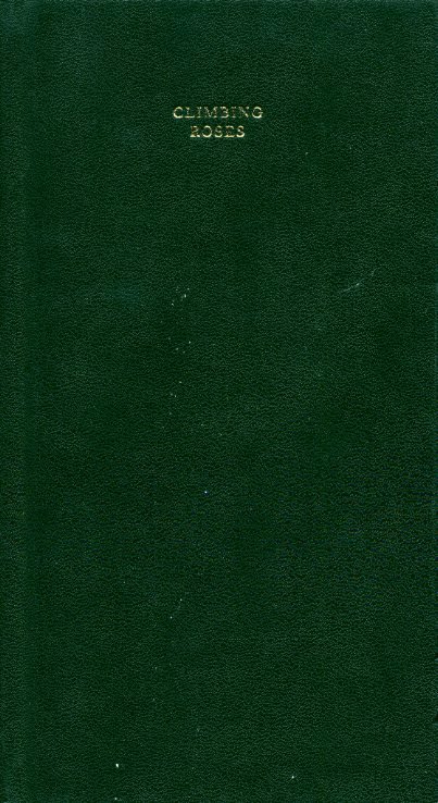 Climbing Roses | Immagine principale