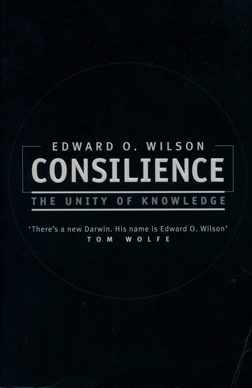 Consilience | Immagine Gallery 2