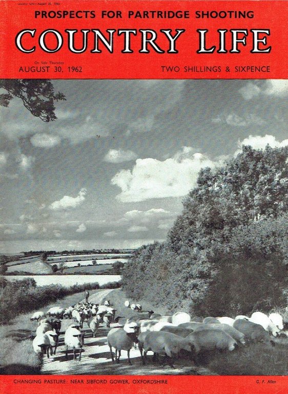 Country Life Magazine 1962 Oct 4 | Immagine Gallery 2