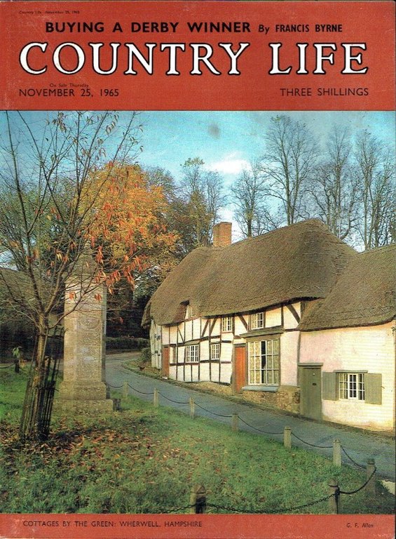 Country Life Magazine 1965 Nov 25 | Immagine Gallery 2