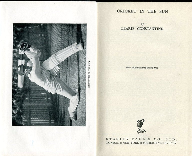 Cricket in the Sun | Immagine Gallery 2