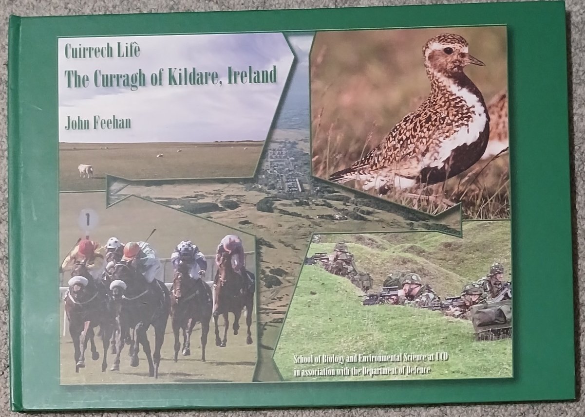 Cuirrech Life : The Curragh of Kildare, Ireland (Signed By … | Immagine principale