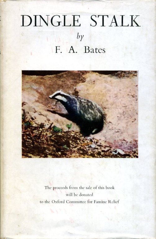 Dingle Stalk | Immagine Gallery 2