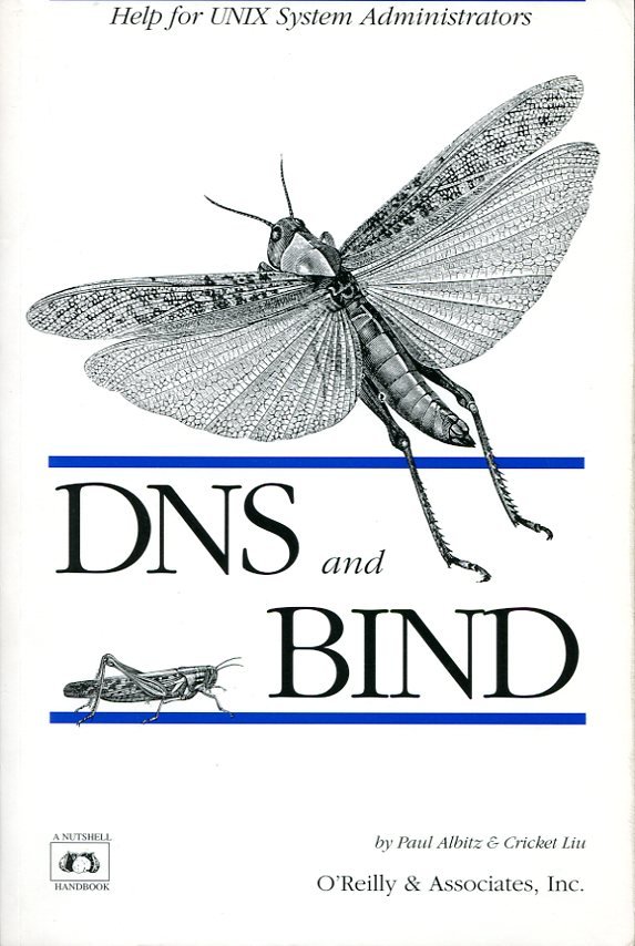 DNS and BIND | Immagine principale