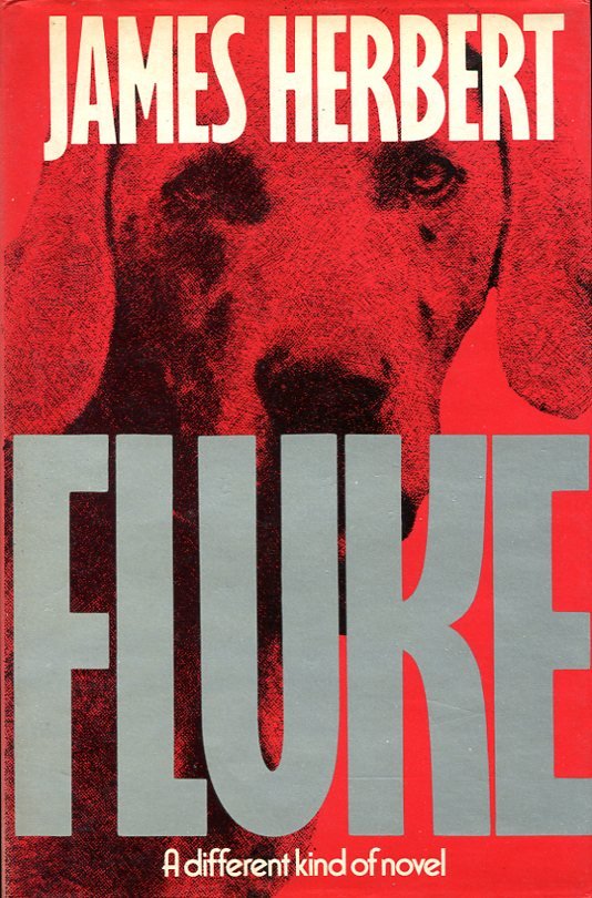 Fluke | Immagine principale