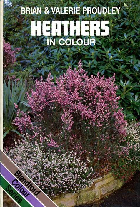 Heathers in Colour | Immagine Gallery 2