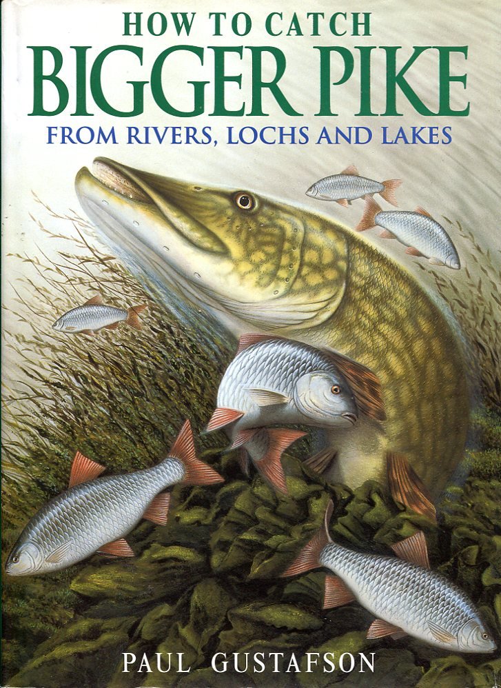 How to Catch Bigger Pike from Rivers, Lochs and Lakes | Immagine principale