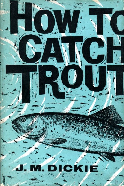 How to Catch Trout | Immagine Gallery 2