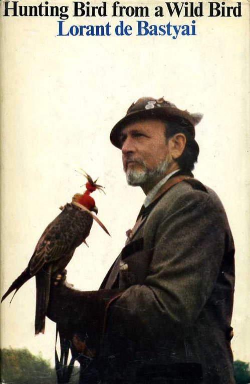 Hunting Bird from a Wild Bird | Immagine Gallery 2