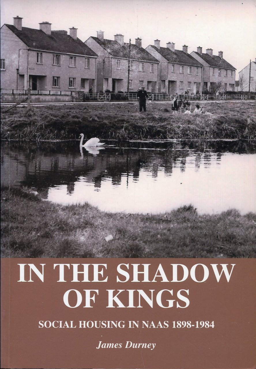 In the Shadow of Kings : Social Housing in Naas … | Immagine principale