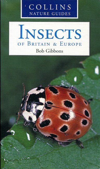 Insects of Britain & Europe | Immagine Gallery 2